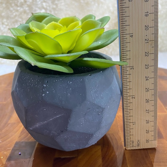 Faux Succulent, in 3”H circular pot (2 available for individual purchase) - Picture 7 of 11